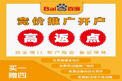 百度竞价广告运营实战：创意与执行的完美结合